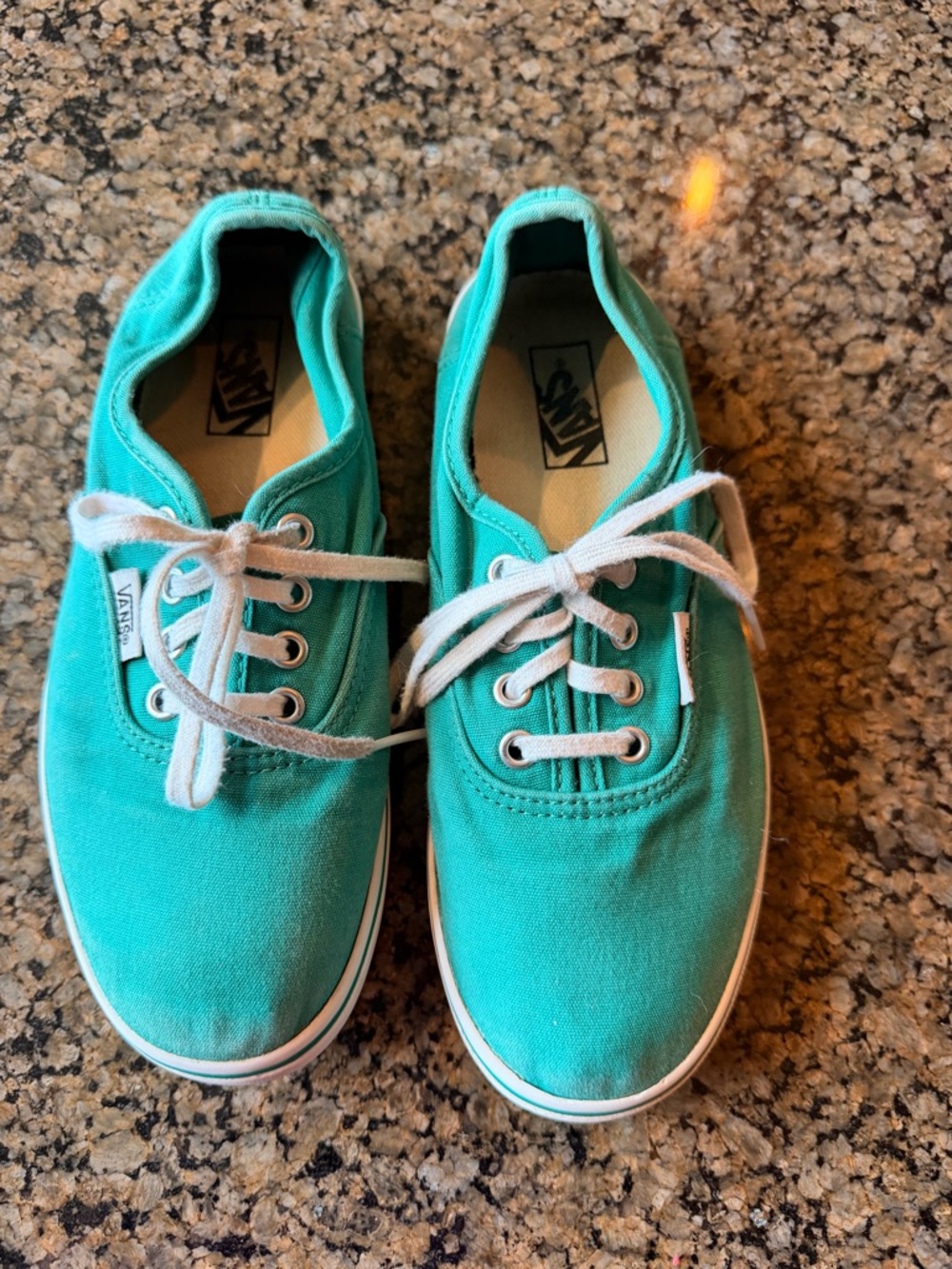 Vans Kids Canvas Sneakers in Teal Green